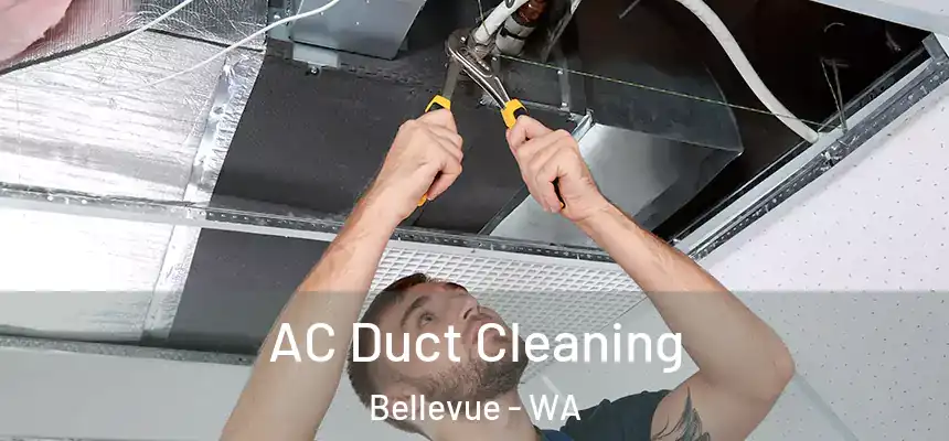  AC Duct Cleaning Bellevue - WA