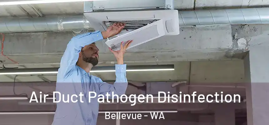  Air Duct Pathogen Disinfection Bellevue - WA