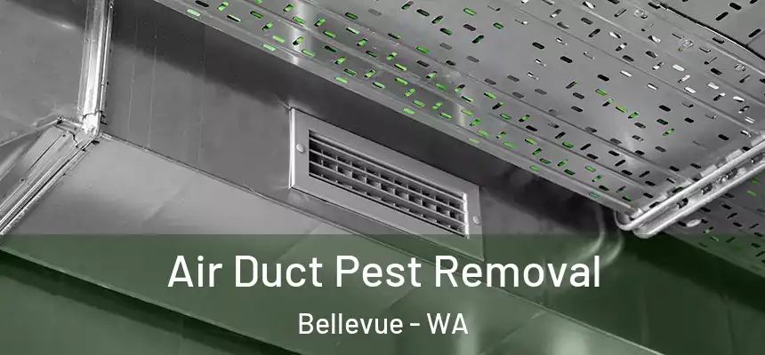  Air Duct Pest Removal Bellevue - WA