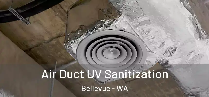  Air Duct UV Sanitization Bellevue - WA