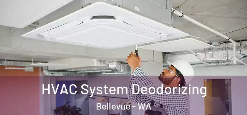  HVAC System Deodorizing Bellevue - WA