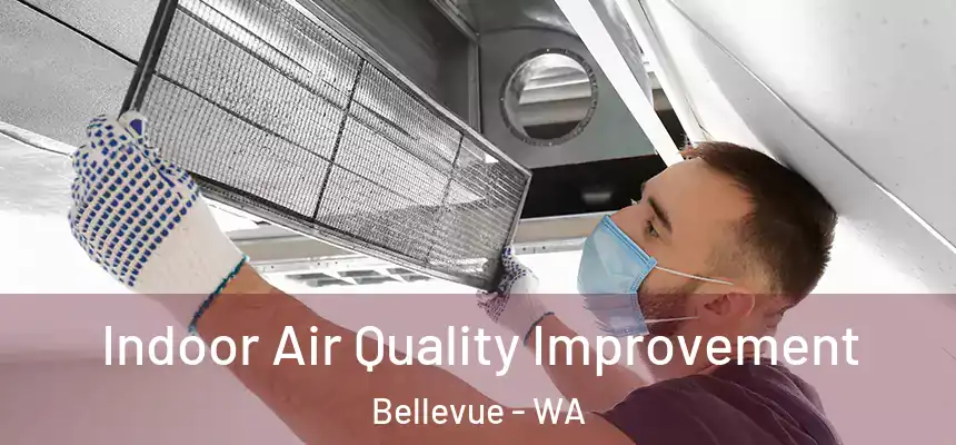  Indoor Air Quality Improvement Bellevue - WA