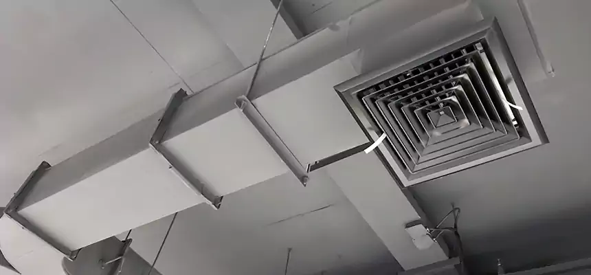 Restorative Allergy Relief Vent Cleaning – Coil, Blower & Housing Detail in Bellevue