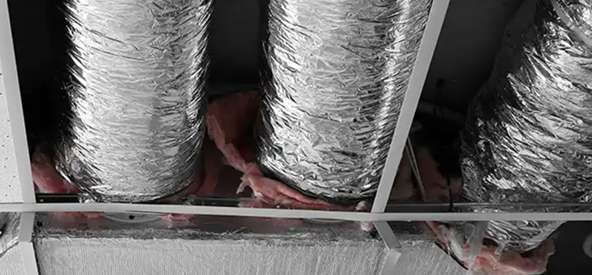 Scalable Commercial Multi‑Unit Dryer Vent Camera Inspection in Bellevue, WA