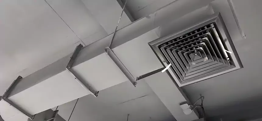 Our Pest Removal From Ducts Services in Bellevue, WA