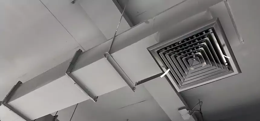 Our Rodent Droppings In Vents Services in Bellevue, WA