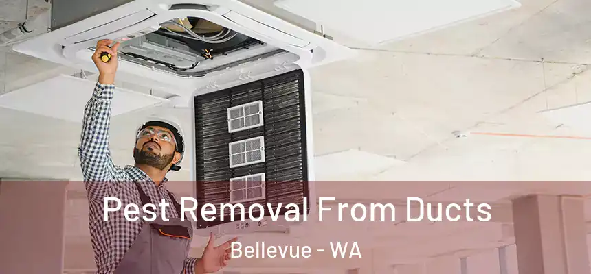  Pest Removal From Ducts Bellevue - WA