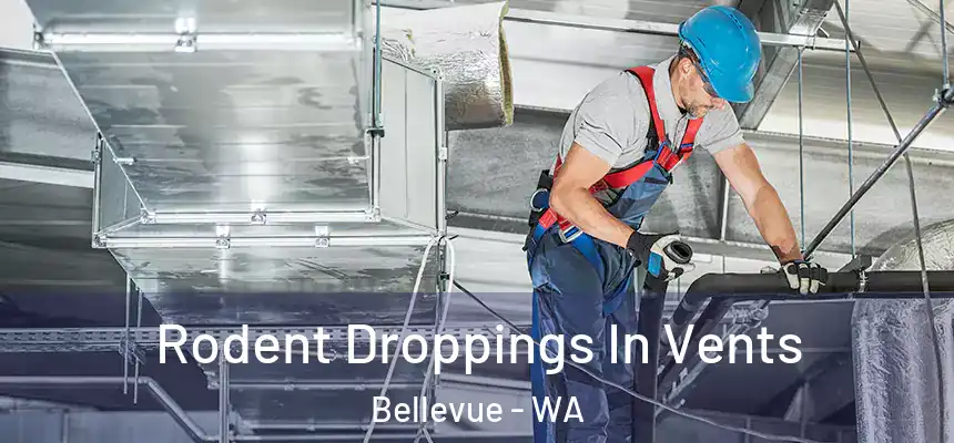 Rodent Droppings In Vents Bellevue - WA