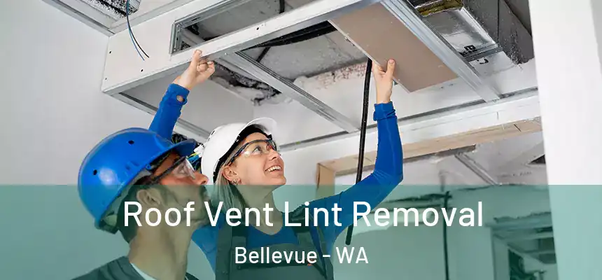Roof Vent Lint Removal Bellevue - WA
