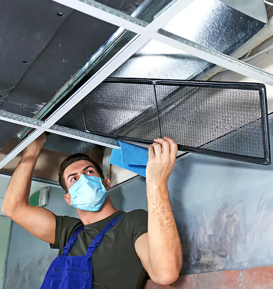 About Air Duct Bacteria Removal in Bellevue