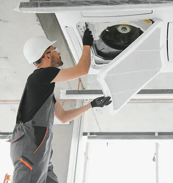 About Air Duct Rodent Removal in Bellevue, WA