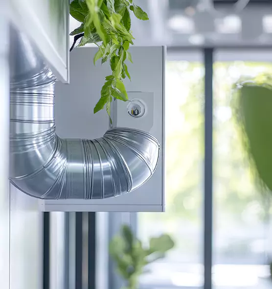 Professional Eco-Safe Dryer Vent Cleaning in Bellevue, WA