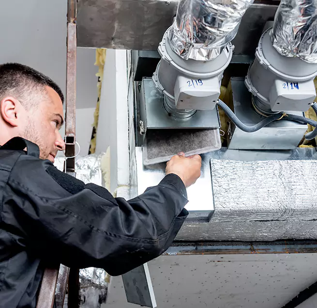 Why Homeowners & Businesses Trust Us in Bellevue, WA?