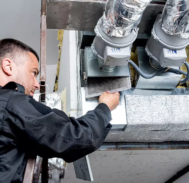 Why Homeowners & Businesses Trust Us in Bellevue, WA?