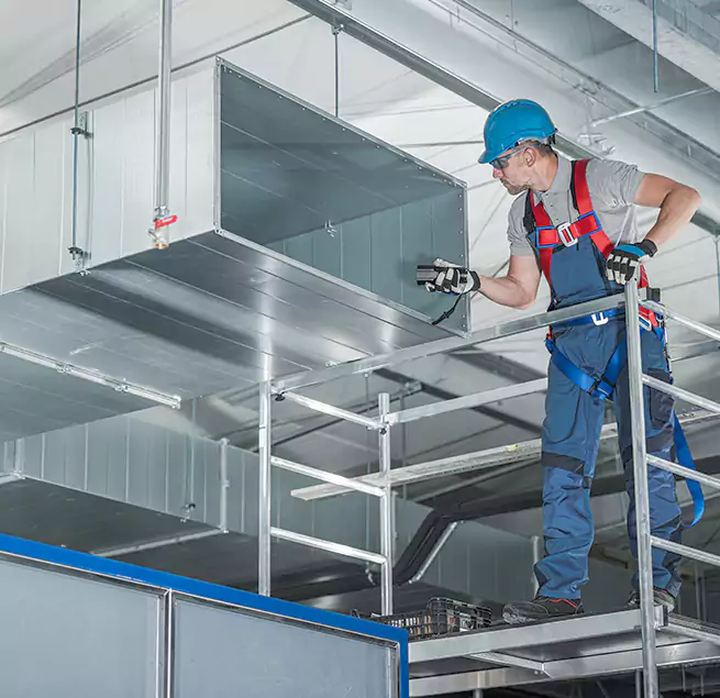 Why Homeowners & Businesses Trust Us in Bellevue, WA?