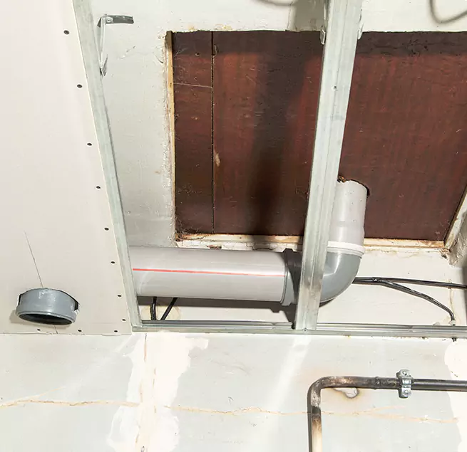 Why Homeowners & Businesses Trust Us in Bellevue, WA?