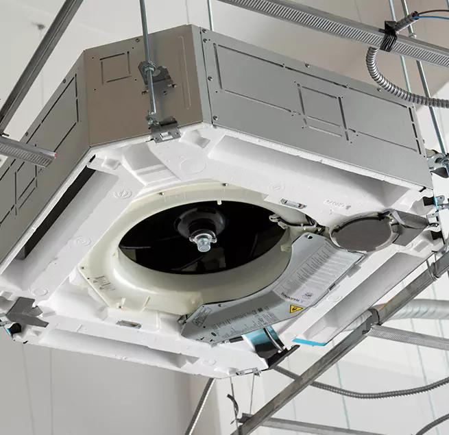 Why Homeowners & Businesses Trust Us in Bellevue, WA?