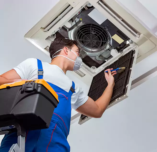 Why Homeowners & Businesses Trust Us in Bellevue, WA