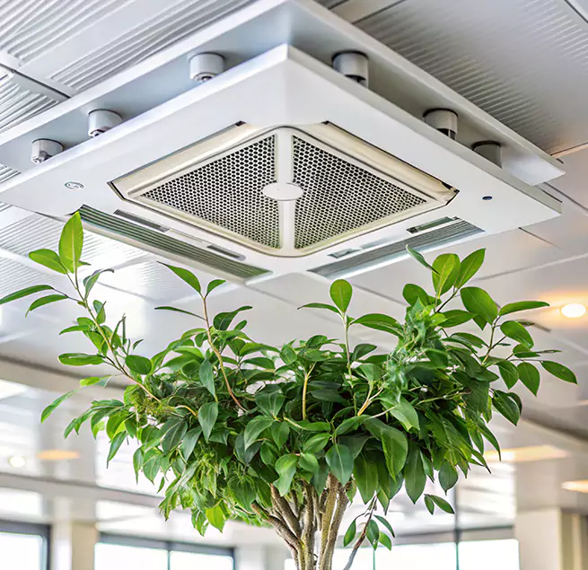 Why Homeowners & Businesses Trust Us in Bellevue, WA