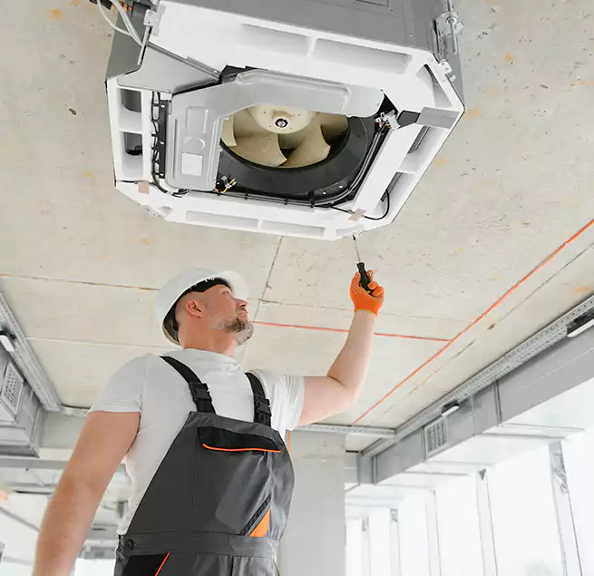 Why Homeowners Businesses Trust Us in Bellevue, WA