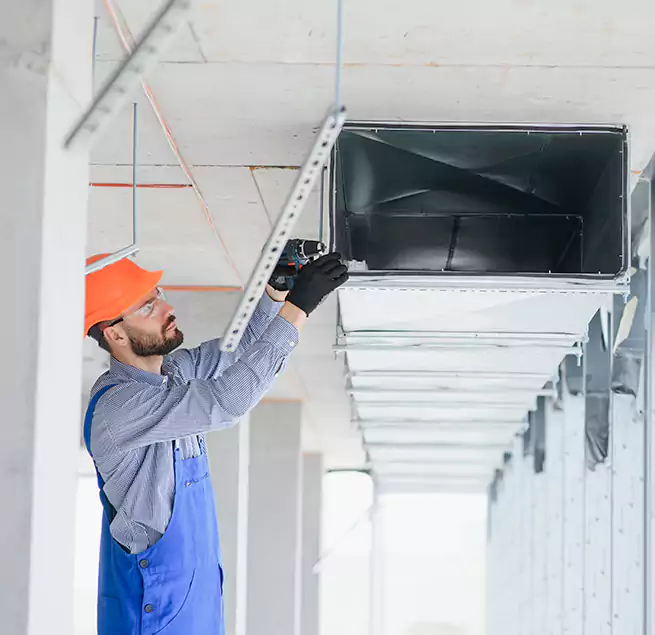 Why Homeowners & Businesses Trust Us in Bellevue, WA?