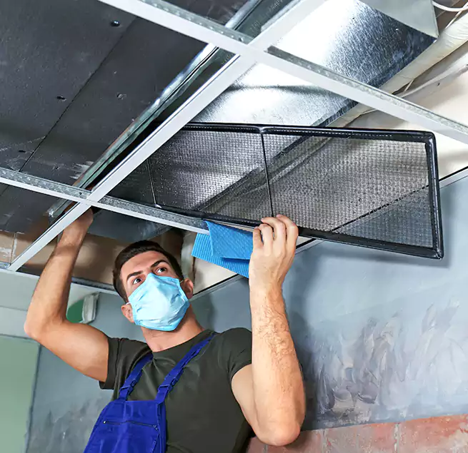 Why Homeowners Businesses Trust Us in Bellevue, WA