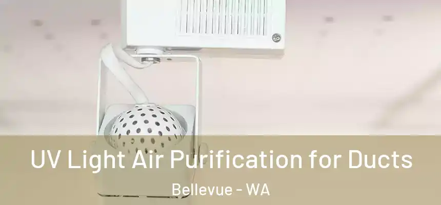  UV Light Air Purification for Ducts Bellevue - WA