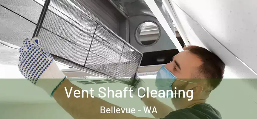  Vent Shaft Cleaning Bellevue - WA